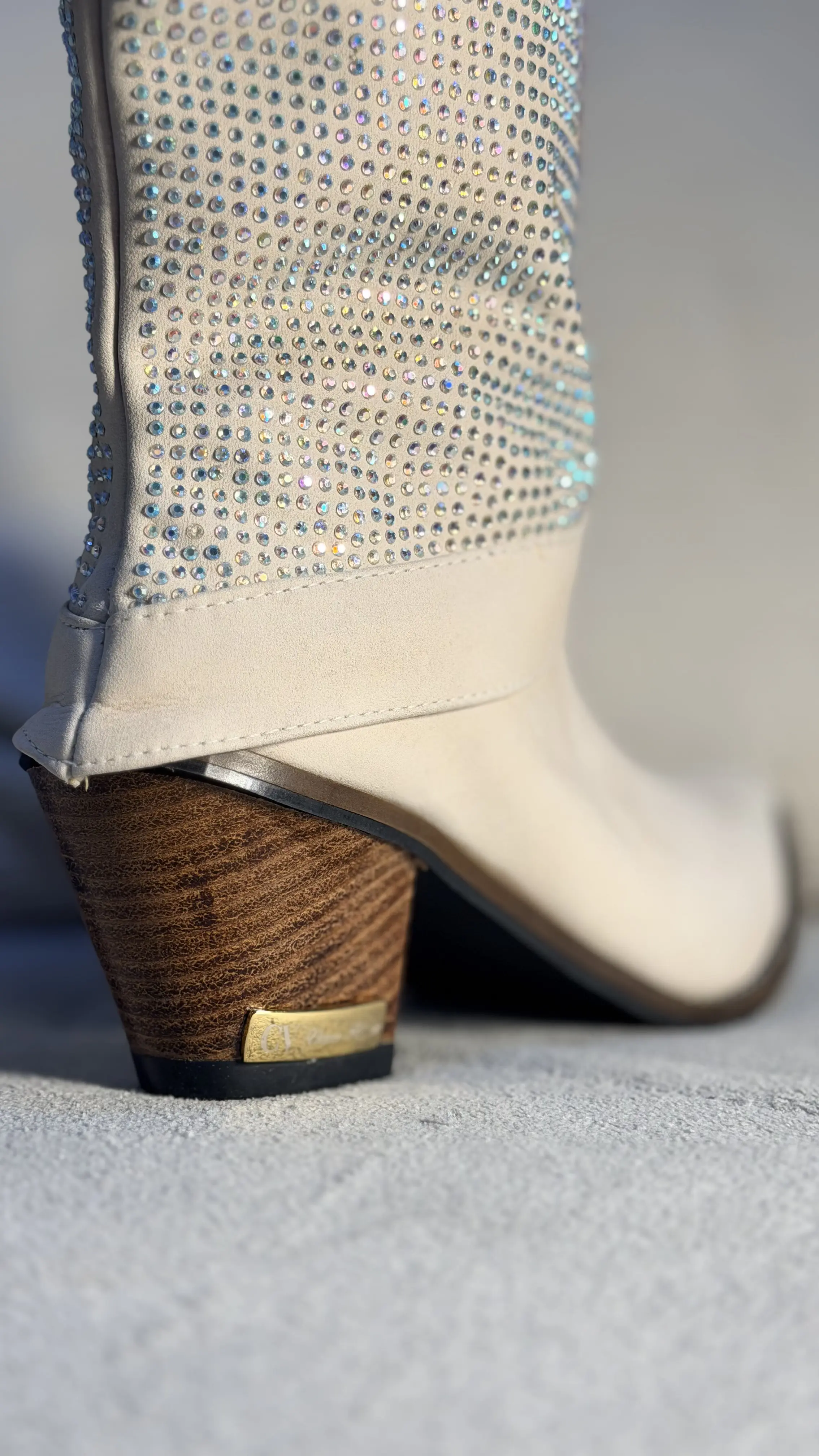 Cristal Capa Corac Ao Pantaneiro