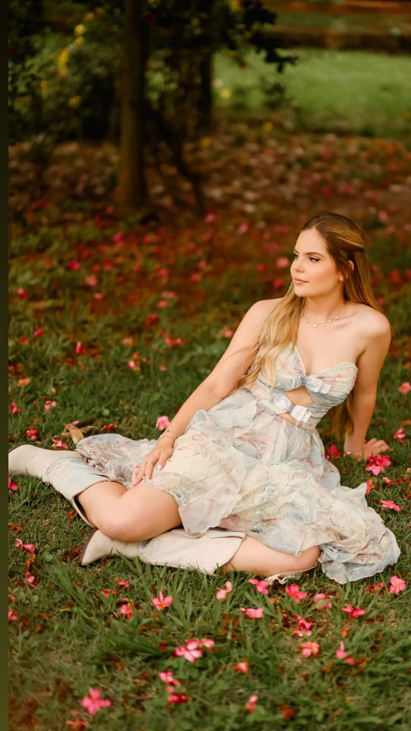 Cristal Capa Corac Ao Pantaneiro